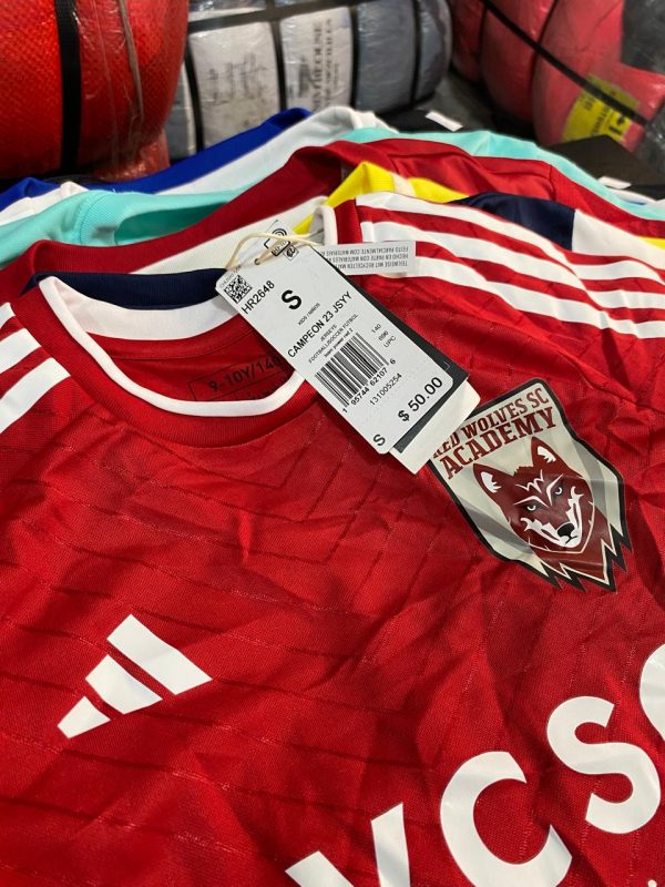 POLERA Y SHORT DEPORTIVO NUEVO 50 UNIDADES - Imagen 2